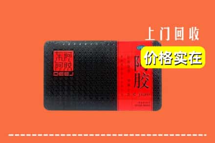 收购资讯:雷州市回收阿胶